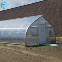 Serre tunnel agricole 6x12m à structure métallique gothique, serre polytunnel en polycarbonate pour fleurs