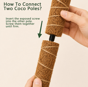 Piquets en fibre de coco de 16 pouces, écologiques, pliables et empilables, supports pour plantes avec tube en acier noir - Product Image 2