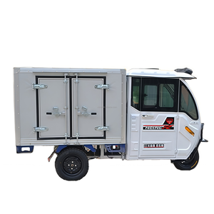 Haute qualité personnalisé à trois roues adulte électrique Cargo <span class=keywords><strong>Jet</strong></span> <span class=keywords><strong>Ski</strong></span> longue portée tricycle électrique au prix d'usine - Product Image 1