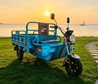 Tricycle électrique multifonctionnel à quatre roues, pour la vente ambulante, le transport de marchandises en ascenseur et l'entreposage