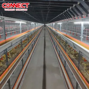 Geflügelkäfig Batterie Hühnerzuchtzubehör automatisches Hühnerkäfigsystem Legehühnchen Broiler Hühnerkäfig für Hühnerhaus