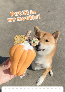 Kabak kafa ile yeni çevre dostu silikon köpek kedi maması kabı korsan grafik Anti-Bite anti-isyan oyuncak evcil tatlılar için depolama - Product Image 5