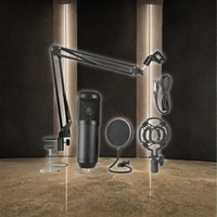 Ensemble de microphone à condensateur professionnel avec carte son, micro pour podcast, karaoké, enregistrement en direct, kit de studio, microphone USB BM800