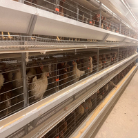 Nouvel équipement d'élevage de poulets entièrement automatisé à 4 niveaux