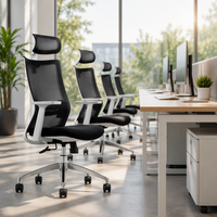 Chaise de bureau exécutive moderne et abordable avec support lombaire, appui-tête, design ergonomique, hauteur réglable, en tissu maillé, pivotante, pour bureau à domicile