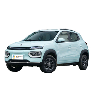 Dongfeng Motor Nano BOX Pure Electric SUV <span class=keywords><strong>2022</strong></span> La comodidad más barata SUV eléctrico Nuevo SUV pequeño - Product Image 1