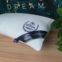 Taie d'oreiller d'aluminium Premium Double doublure, coussin en microfibre Polyester de 1000G 48x74cm avec sac à main
