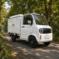 Mini-camion électrique personnalisé, véhicule utilitaire léger à énergie nouvelle, véhicule commercial électrique, voiture électrique
