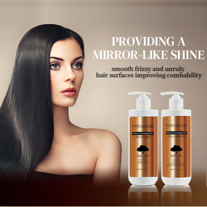 Chất Lượng Cao OEM Giá Tốt Argan Dầu Sửa Chữa Tóc Mịn Dầu Gội Đầu Và Điều Hòa Cho Phụ Nữ Phụ Nữ Tất Cả Các Loại Tóc 250Ml - Product Image 6