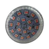 Lumière à cabochon programmable automatique RGB 24 LED AC110v/220v, 60 mm, points lumineux pour manèges de parc d'attractions, grande roue