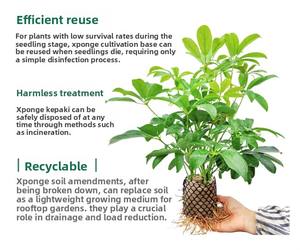 Esponja Minimalista para <span class=keywords><strong>Suculentas</strong></span> sin Tierra, <span class=keywords><strong>Sustrato</strong></span> Hidropónico, Hecha a Mano, para Flores/Plantas Verdes - Product Image 4