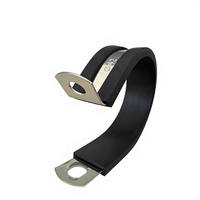 Collier de serrage industriel à vis sans fin en acier inoxydable DIN3016 W2, doublé de caoutchouc amortissant les vibrations