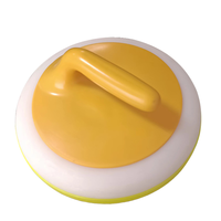 Piste de curling synthétique de haute qualité pour les sports de curling avec pierres de curling