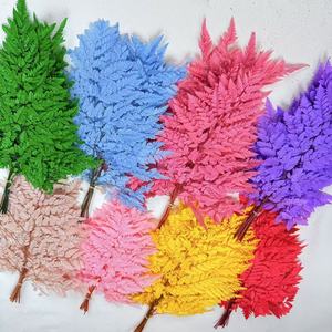 Hojas de Arachniodes Reales, Hojas Secas y Conservadas, Decoración para el Hogar y la Oficina, <span class=keywords><strong>10</strong></span> Piezas/Ramo, 40-50 cm, Graduación, Día de San Valentín - Product Image 3