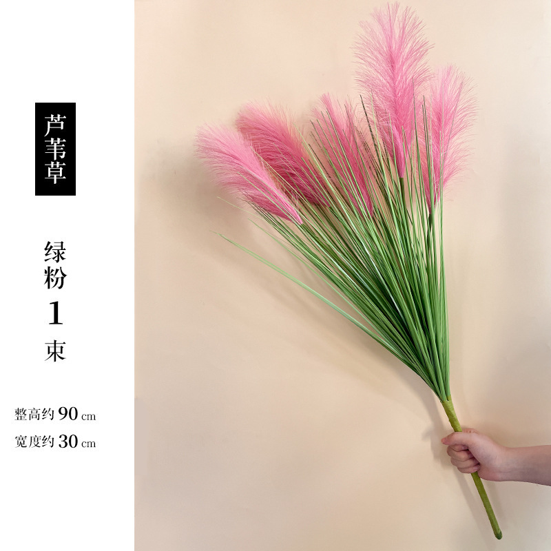 Caña rosa de 5 cabezas