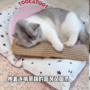 Juguetes para gatos, almohadas con hierba gatera, juguetes para masticar para gatos, dulces duraderos y que limpian los dientes para gatos, postes rascadores para gatos y otros juguetes para gatos. - Product Image 5