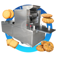 OCEAN-Biscuit automatique Wali à la main, petit biscuit aux noix, équipement de fabrication de biscuits, fournisseur de machines pour la maison