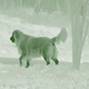 <span class=keywords><strong>Argus</strong></span> Săn Bắn Máy Ảnh Động Vật Hoang Dã Nhiệt Tầm Nhìn Ban Đêm Phạm Vi Săn Bắn Máy Ảnh Nhiệt - Product Image 6