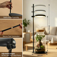 Lampe de table pour plantes de bureau, design moderne noir, s'adapte à tous les intérieurs, avec minuterie et variateur d'intensité, OEM ODM disponible