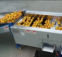 Mini Elektronische Fruit Mandarijn Oranje Apple Size Sorteren Grading Machines In India
