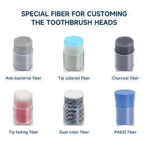Têtes de brosse à dents colorées EB10T pour enfants, vente en gros Baolijie, pour soins bucco-dentaires - Product Image 6
