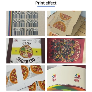 <span class=keywords><strong>Stampante</strong></span> <span class=keywords><strong>HP</strong></span> a Colori Monodirezionale Completamente Automatica di Alta Qualità, <span class=keywords><strong>Stampante</strong></span> a Getto d'Inchiostro UV Digitale per Sacchetti Shopping - Product Image 6