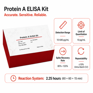 Kit ELISA de Proteína <span class=keywords><strong>A</strong></span> para la detección de Proteína <span class=keywords><strong>A</strong></span> en intermediarios, productos semielaborados y productos farmacéuticos - Product Image 4