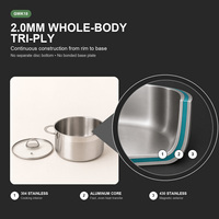 Marmite en acier inoxydable 304 de 8 cm, triple épaisseur, avec couvercle en verre, pour induction et petite casserole à soupe, OEM, vente en gros