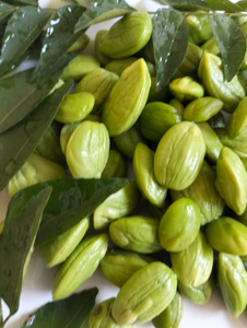 Semillas Frescas de Petai Parkia Speciosa de Indonesia, 100% Calidad Garantizada, Semillas Crudas Frescas, Aroma Natural, Sabor Intenso, Calidad de Exportación - Product Image 3