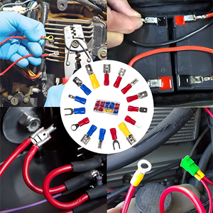 Set di 720 Terminali a Crimpare a Freddo Assortiti in Scatola, Connettori Elettrici a Forcella, Anello, a Spina e a Forcella Larga per Cavi - Product Image 5