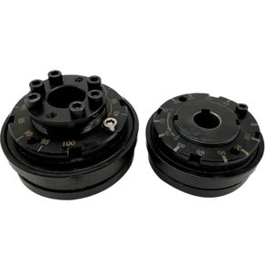 Couplage limiteur de couple par friction TL, protecteur de surcharge moteur, embrayage TL250-2 - Product Image 5