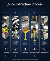 Industriële schroefpers voor sap, SUS304 roestvrij staal, fruit- en groentesapcentrifuge voor de productie van appel-, wortel- en gembersap