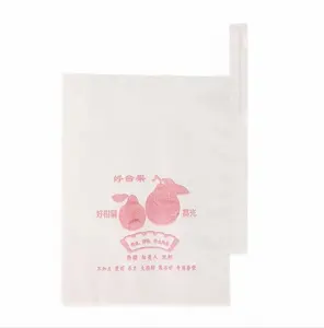 China Alibaba Supplier custom fruit mango protective covering paper bag