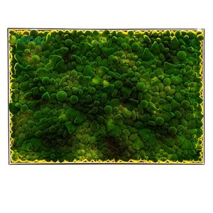 ผนัง<span class=keywords><strong>มอ</strong></span><span class=keywords><strong>ส</strong></span>เทียมตกแต่งบ้านในชีวิตประจำวัน - Product Image 1