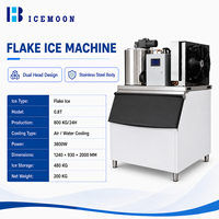 Machine à glaçons professionnelle pour la chaîne du froid et le refroidissement industriel, avec production de glaçons en flocons et support pour pièces de rechange