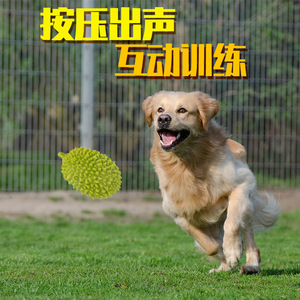 Juguete chirriante con forma de durian para perros, tamaño mediano, juguete masticable para cachorros - Product Image 4