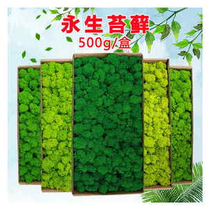Wholesale Natural Stabilized Decorative Preserved <strong>Moss</strong> Natural Green Plants Preserved <strong>Moss</strong> for Decorative - Product Image 3