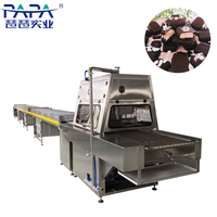 Prix d'usine Papa et machine d'enrobage de chocolat de fabricant de la Chine faite de SUS304
