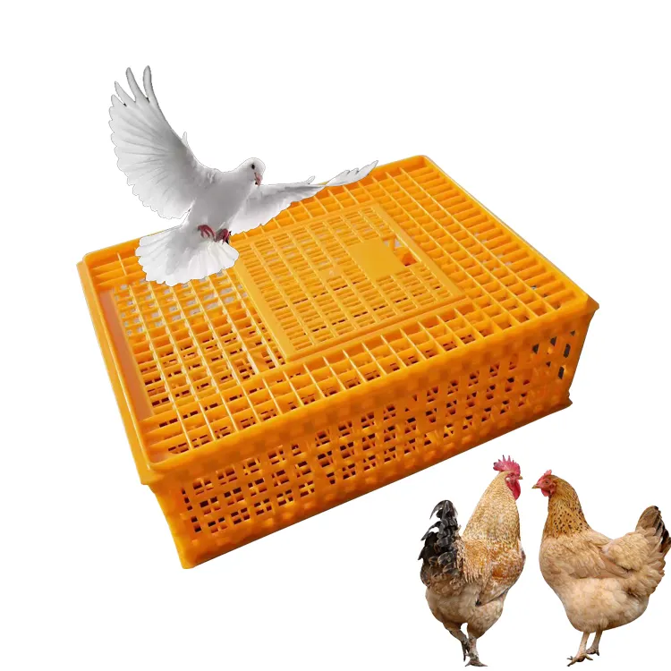 PEマットレールチキンクレートプラスチック輸送ボックス鶏卵輸送クレート