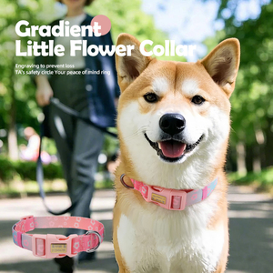 Recycled Eco Friendly Nylon <strong>Dog</strong> <strong>Collar</strong> Rainbow Bright Colors Adjustable Pet <strong>Collar</strong> Leash Set 3 Colors in Stock - Product Image 2