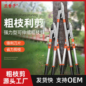 Tijeras de Podar Telescópicas Hiroki Oka de 20-30 mm, Estructura de Mariposa de Acero Inoxidable, Herramienta para Recortar Árboles de Jardín - Product Image 4