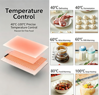 Plateau chauffant électrique pliable 110V 220V avec contrôle de température, plaque chauffante électrique en silicone