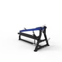 Banc de musculation ergonomique moderne haut de gamme à charge libre en acier pour la musculation et l'équipement de salle de sport