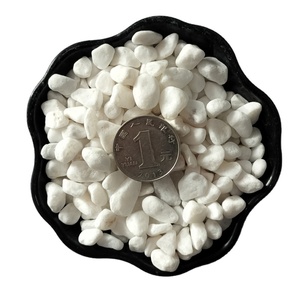 Piccoli Ciottoli <span class=keywords><strong>Bianchi</strong></span> in Pietra Naturale <span class=keywords><strong>per</strong></span> Paesaggistica di Cortili, Acquari, Piante Grasse e Fiori in Vaso, Pesanti e Naturali - Product Image 1