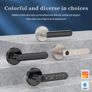 Poignée de <span class=keywords><strong>porte</strong></span> intelligente à empreinte digitale avec serrure électronique à <span class=keywords><strong>code</strong></span> et <span class=keywords><strong>clavier</strong></span> tactile, neuf options de déverrouillage pour maison, bureau, appartement - Product Image 3