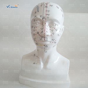 Modello <span class=keywords><strong>di</strong></span> agopuntura della testa a grandezza naturale per la <span class=keywords><strong>formazione</strong></span> <span class=keywords><strong>e</strong></span> l'<span class=keywords><strong>educazione</strong></span> nelle <span class=keywords><strong>scienze</strong></span> mediche - Product Image 6