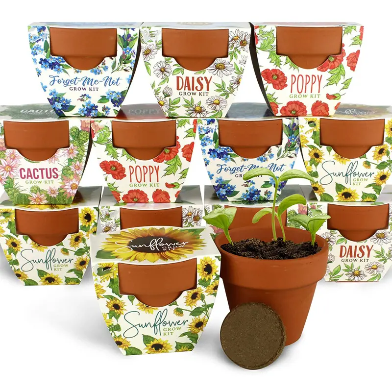 Индивидуальный недорогой мини-набор для выращивания с терракотовыми горшками и различными видами семян и почвенных дисков в подарок