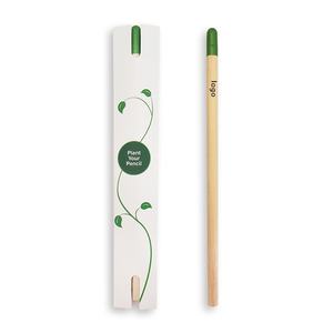 Capsule végétale créative en bois vert avec graines, personnalisable avec logo, pour plantation et germination - Product Image 5