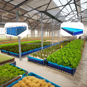 Système de pisciculture hors sol <span class=keywords><strong>pour</strong></span> l'aquaculture et les légumes Recirculation Biofloc Tarpaulin Fish Pond Tanks Equipment - Product Image 4