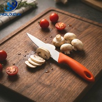 Couteau éplucheur multi-usages en acier inoxydable de 5 pouces, style européen, économique, de qualité alimentaire, avec logo personnalisé, pour couper les fruits et les légumes